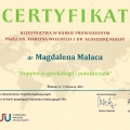 Powiększ obraz: certificate 5