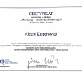 Powiększ obraz: certificate 7