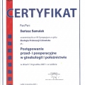 Powiększ obraz: certificate 24