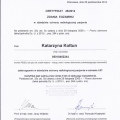 Powiększ obraz: certificate 23