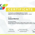 Powiększ obraz: certificate 2