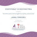 Powiększ obraz: certificate 4