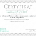 Powiększ obraz: certificate 5