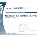 Powiększ obraz: certificate 41