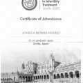 Powiększ obraz: certificate 3