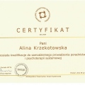 Powiększ obraz: certificate 23