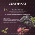 Powiększ obraz: certificate 2