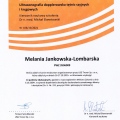 Powiększ obraz: certificate 3