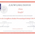 Powiększ obraz: certificate 28
