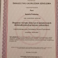 Powiększ obraz: certificate 13