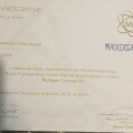 Powiększ obraz: certificate 5