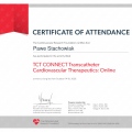 Powiększ obraz: certificate 13