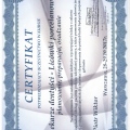 Powiększ obraz: certificate 6