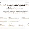 Powiększ obraz: certificate 10