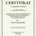 Powiększ obraz: certificate 31