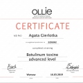 Powiększ obraz: certificate 13