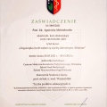 Powiększ obraz: certificate 4