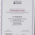 Powiększ obraz: certificate 11