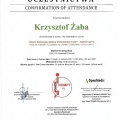 Powiększ obraz: certificate 35