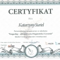 Powiększ obraz: certificate 3