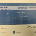 Powiększ obraz: certificate 4