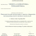 Powiększ obraz: certificate 20