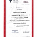 Powiększ obraz: certificate 8