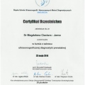 Powiększ obraz: certificate 4