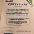 Powiększ obraz: certificate 6