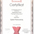 Powiększ obraz: certificate 25