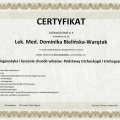 Powiększ obraz: certificate 11