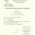 Powiększ obraz: certificate 6