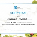 Powiększ obraz: certificate 16