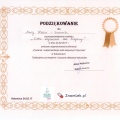 Powiększ obraz: certificate 9