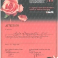 Powiększ obraz: certificate 11