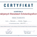 Powiększ obraz: certificate 19