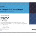 Powiększ obraz: certificate 24