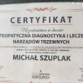 Powiększ obraz: certificate 6