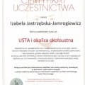 Powiększ obraz: certificate 5