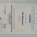 Powiększ obraz: certificate 6