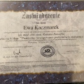 Powiększ obraz: certificate 4