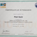Powiększ obraz: certificate 10