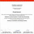 Powiększ obraz: certificate 6