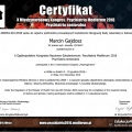 Powiększ obraz: certificate 14