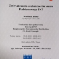 Powiększ obraz: certificate 8