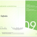 Powiększ obraz: certificate 24