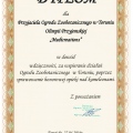 Powiększ obraz: certificate 9