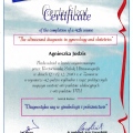 Powiększ obraz: certificate 8