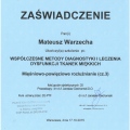 Powiększ obraz: certificate 19