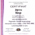 Powiększ obraz: certificate 1